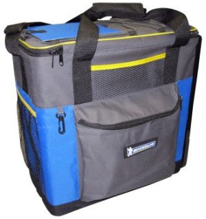 P14M Michelin 12 volt Cooler/Warmer